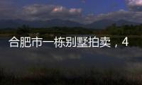 合肥市一栋别墅拍卖，4人报名竞拍却以起拍价282万就成交了