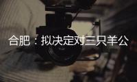 合肥：拟决定对三只羊公司没收违法所得、罚款共计6894.91万元