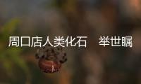 快排公司十年历程，霸屏兔 seo 的崛起与坚守