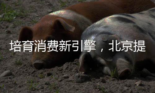 “谷子”消费属于潮流经济