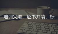 快排公司十年历程，霸屏兔 seo 的崛起与坚守