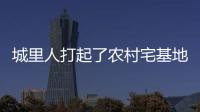 城里人打起了农村宅基地的“歪主意”

，根源何在�？
