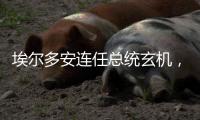埃尔多安连任总统玄机，建国百年的“土耳其三变”丨智库视点