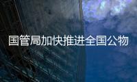 快排公司十年历程，霸屏兔 seo 的崛起与坚守