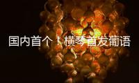 国内首个	！横琴首发葡语大模型
