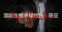 国际生物多样性日：菲亚特动力科技助力特提斯研究所地中海鲸目动物和海洋环境