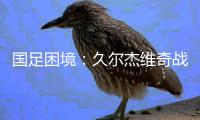 国足困境：久尔杰维奇战术竟是扬科维奇的翻版
？