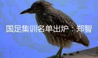 国足集训名单出炉：郑智落选 两U23新星入选