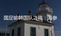 国足输韩国队之殇：海参与高丽参背后的足球密码
，真是吃的问题	？