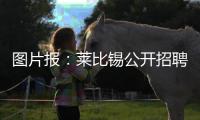 图片报	：莱比锡公开招聘厨师
，为球员和工作人员提供餐饮服务