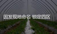 快排公司十年历程，霸屏兔 seo 的崛起与坚守