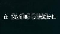 在“小蛮腰”，珠海簕杜鹃灿烂绽放！