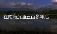 在南海沉睡五百多年后	，它们终于出水展出