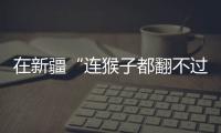 在新疆“连猴子都翻不过的山”，查缉、抢险和反恐维稳