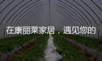 在康丽莱家居，遇见您的专属床垫