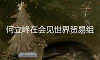 何立峰在会见世界贸易组织总干事伊维拉时指出	：中方坚定支持多边主义和自由贸易 支持世界贸易组织在全球经济治理中发挥更大作用