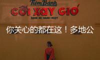 快排公司十年历程，霸屏兔 seo 的崛起与坚守