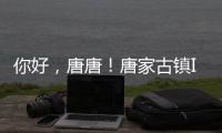你好，唐唐！唐家古镇IP形象创意征集赛结果揭晓→