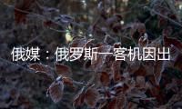 俄媒
：俄罗斯一客机因出现技术故障返航