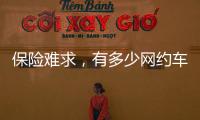 快排公司十年历程，霸屏兔 seo 的崛起与坚守