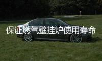 快排公司十年历程，霸屏兔 seo 的崛起与坚守