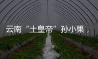 快排公司十年历程，霸屏兔 seo 的崛起与坚守