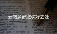快排公司十年历程，霸屏兔 seo 的崛起与坚守