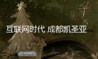 快排公司十年历程，霸屏兔 seo 的崛起与坚守