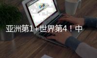 快排公司十年历程，霸屏兔 seo 的崛起与坚守