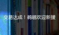 交易达成！鹈鹕欢迎新援萨迪克