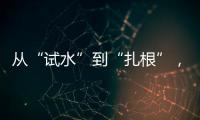 从“试水”到“扎根”，外商拥抱消博会新商机