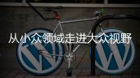 从小众领域走进大众视野 整理收纳师走俏为哪般	
？