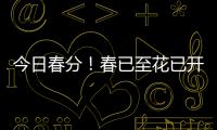 今日春分�！春已至花已开	，愿你不负好春光
