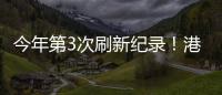 快排公司十年历程，霸屏兔 seo 的崛起与坚守
