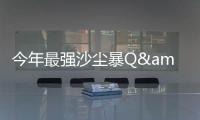 快排公司十年历程，霸屏兔 seo 的崛起与坚守