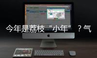 今年是荔枝“小年”
�	？气候影响是主因