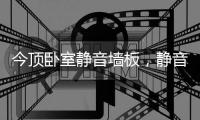 今顶卧室静音墙板，静音才能放肆睡