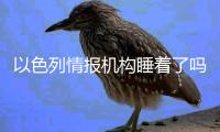 以色列情报机构睡着了吗	？