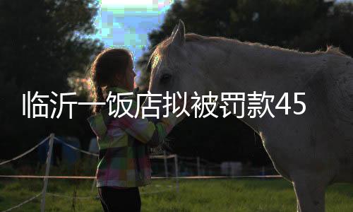 饭店罚款用于记录生活
