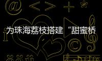 为珠海荔枝搭建“甜蜜桥梁”！九洲港也能买到新鲜采摘的荔枝啦