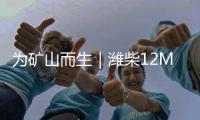 为矿山而生｜潍柴12M33矿山动力�
，坚固可靠 经济耐用