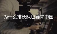 快排公司十年历程，霸屏兔 seo 的崛起与坚守