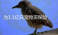 为1.1亿只宠物买保险：如何证明“我的狗是我的狗”