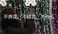 不养花
、不碰花，为什么还会花粉过敏？