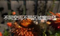 快排公司十年历程，霸屏兔 seo 的崛起与坚守