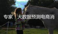 专家：大数据预测电商消费潮流