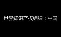 世界知识产权组织：中国是国际专利申请最大来源国