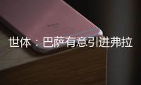 快排公司十年历程，霸屏兔 seo 的崛起与坚守