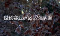 世预赛亚洲区12强队诞生！中日韩澳伊齐聚