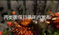丙类医保目录年内发布，让患者用到更多好药
